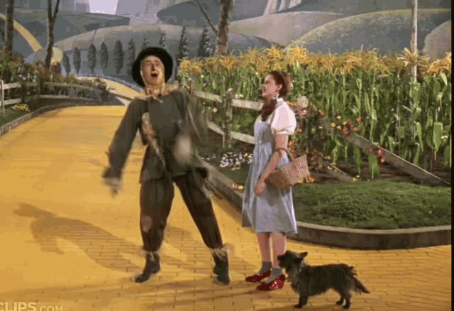 photo Scarecrow Wizard Of Oz Gif scarecrow wizard of oz gif scarecrow wizardofoz dancing discover share gifs