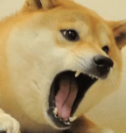 dog rage gif dog rage vibrate discover share gifs