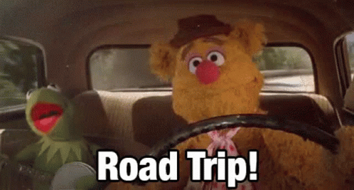 Road Trip Kermit GIF - RoadTrip Kermit Driving GIFs