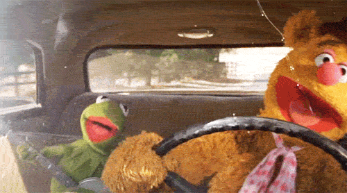 The Muppets Driving And Singing GIF - Muppets TheMuppets SingingDriving GIFs
