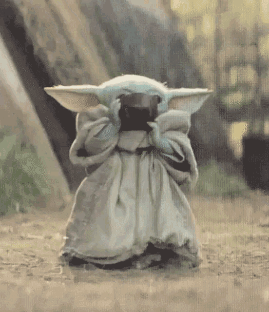 Image result for baby yoda with soup gif
