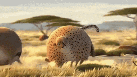 Résultat de recherche d'images pour "gif animé tenor léopard"