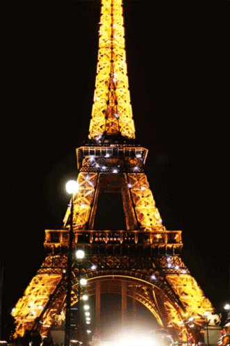 Eiffel Tower Paris GIF - EiffelTower Paris France - Discover & Share GIFs