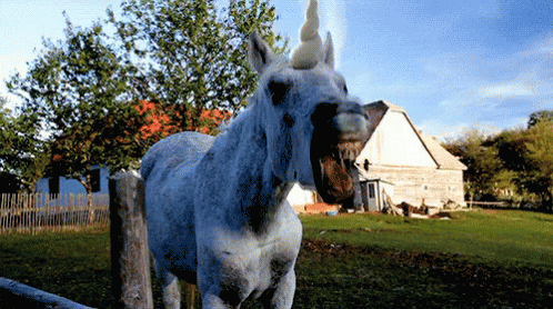 unicorns are real and they don t gaf gif unicorn rainbow barf