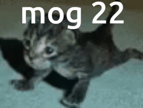 tenor.gif