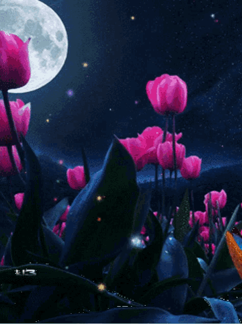 Moonlight Flowers Gif Tulips Discover Share Gifs Moonlight Flowers Gif