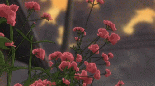 Purple Aesthetic Flowers Gif / Pin by Aidan Hill on Illusions in 2020