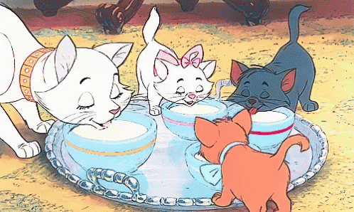 ミルク 牛乳 おしゃれキャット The Aristocats GIF - Milk Cat Aristocat - Discover &amp; Share GIFs