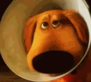Résultat de recherche d'images pour "gif shame on me"