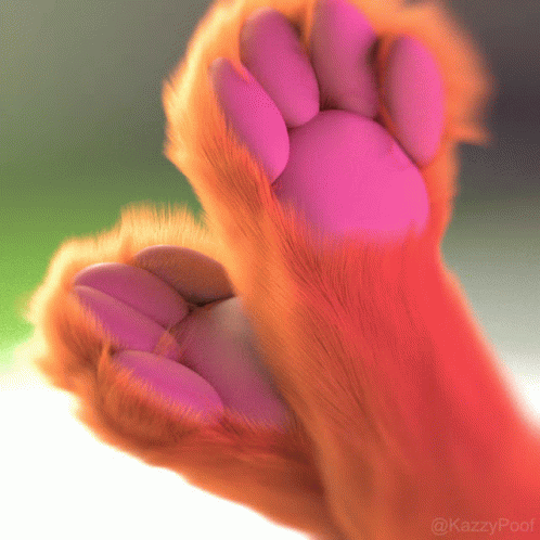 Paws Furry GIF - Paws Furry DogPaws - Discover & Share GIFs