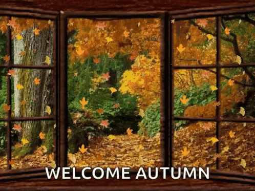 happy birthday autumn gif