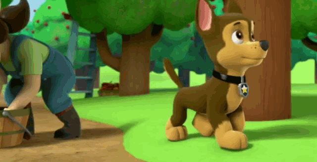 chase x marshall paw patrol