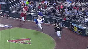 Dbacks Legends Mascot Dive GIF - FinishLine DbacksOpeningDay OpeningDayGIFs - Discover & Share GIFs
