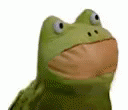 Frog Meme GIF - Frog Meme Dank - Discover & Share GIFs