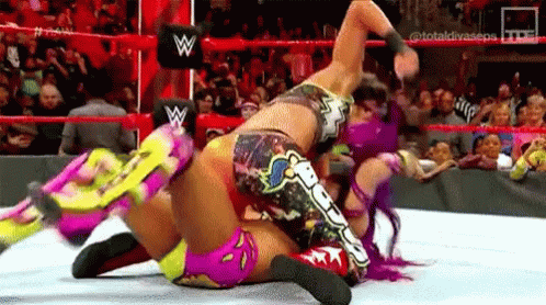 wwe women fight