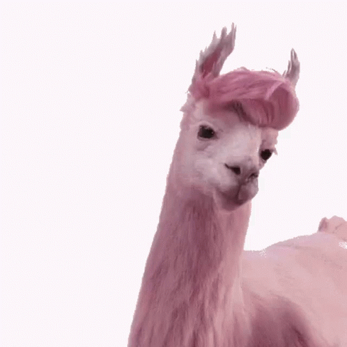 dancing rainbow llama