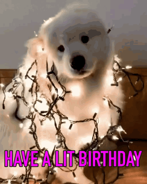 Happy Birthday Hbd Gif Happybirthday Birthday Hbd Discover