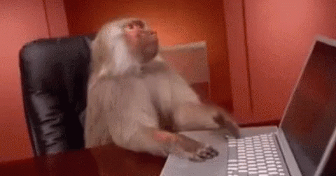 Image result for monkey at a keyboard gif