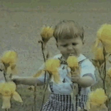 Kid Fall GIF - Kid Fall Flower - Discover & Share GIFs