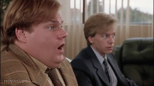 It Has To Be Your Bull GIF - TommyBoy ChrisFarley - Discover & Share GIFs