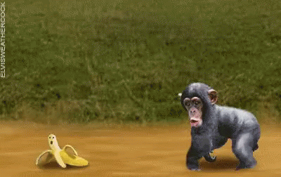 monkey banana gif monkey