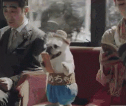 Safe Travels GIF - Safe Travels - Discover & Share GIFs