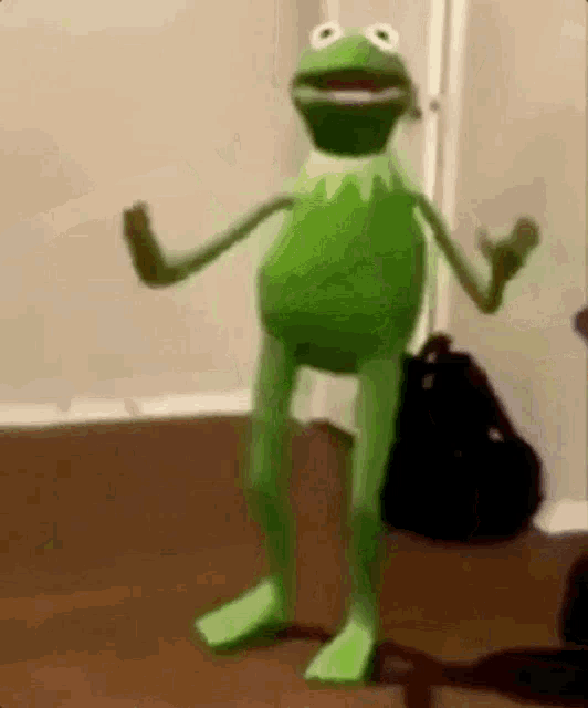 Frogs Memes Gif Frogs Memes Dancing Discover Share Gi - vrogue.co