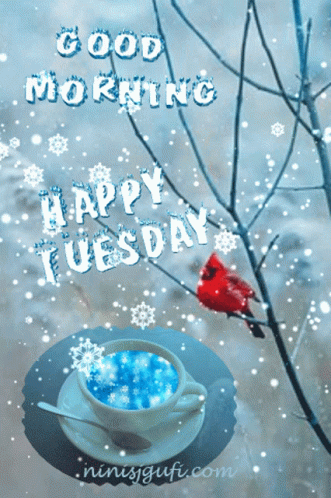Tuesday Morning Winter Blessings.