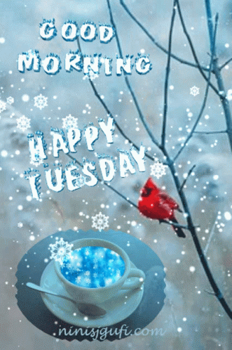 images Good Morning Animated Happy Tuesday Gif good morning happy tuesday gifs tenor