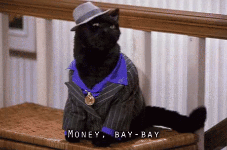Image result for money bay bay gif