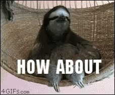 How About No Sloth GIF - HowAboutNo Sloth Chill GIFs