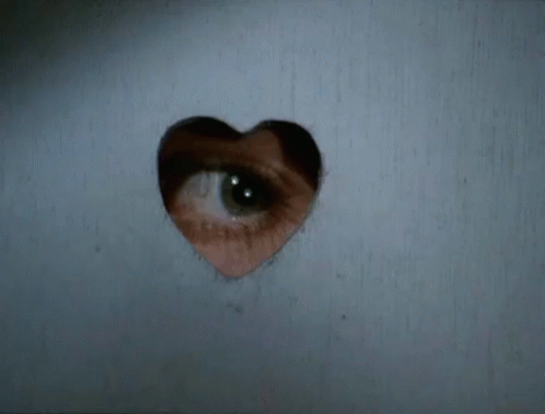 spy cam gifs spy cam gifs