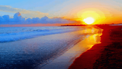 Beach Gif Background For Zoom Zoom Background Gifs Tenor Get These ...