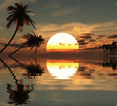 Another beautiful scenery gif.