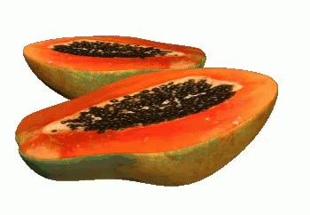 Papaya GIF - Papaya - Discover & Share GIFs