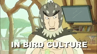 Bird Person Ricknd Morty GIF - BirdPerson RickndMorty Culture GIFs