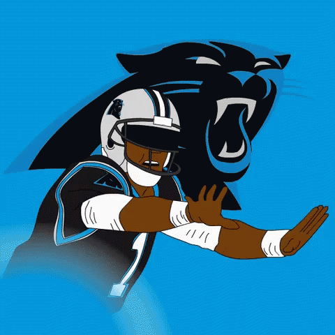 Carolina Panthers Gifs Tenor