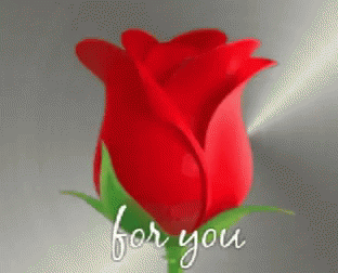flowers roses gif flowers