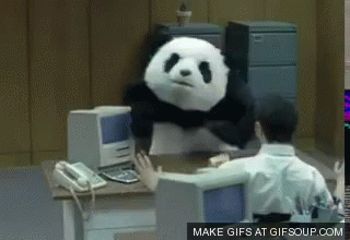 panda push up meaning