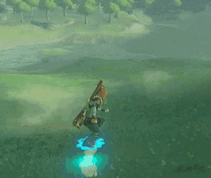 breath of the wild heart container gif