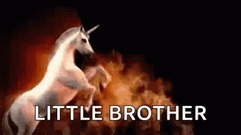 happy birthday brother gifs