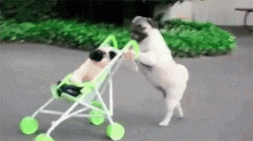 Eu indo passear com meu filho no carrinho de bebe