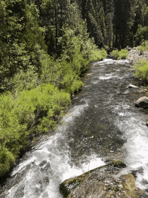 River Go With The Flow GIF - River GoWithTheFlow Relax - Discover ...