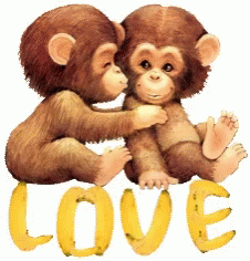 Kết quả hình ảnh cho monkey love