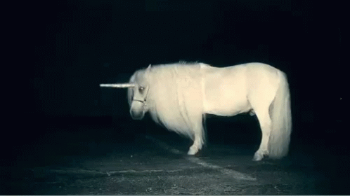 unicorni tumblr gif unicorni tumblr hipster discover share gifs