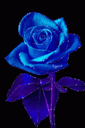 Blue Rose Flower GIF - BlueRose Flower Rose - Discover & Share GIFs