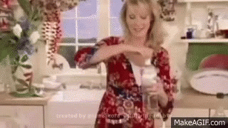 sandra lee gifs tenor
