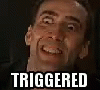 Triggered Nicolas Cage GIF - Triggered NicolasCage Meme GIFs