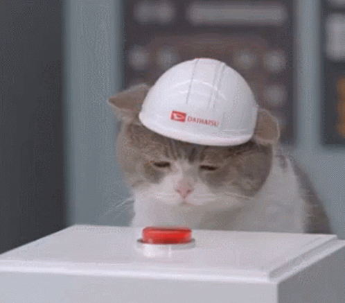 Chat ingénieur pousse un bouton rouge