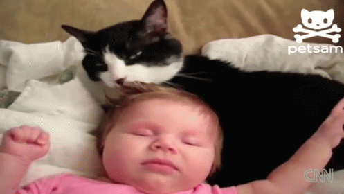cute baby and cat